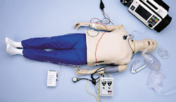 Life/form&reg; Complete Adult CRiSis™ Manikin